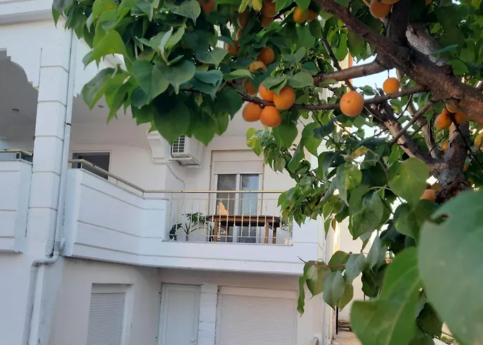 Kyveli's * Nikiti (Sithonia)