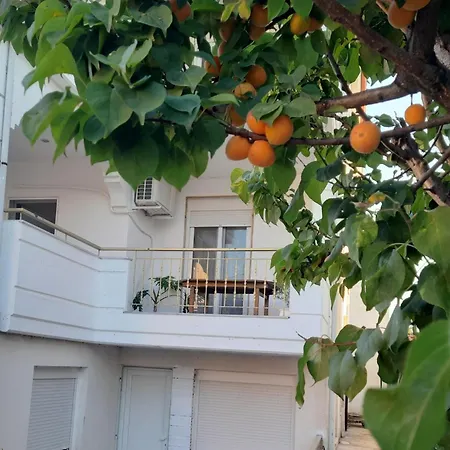 Kyveli's * Nikiti (Sithonia)